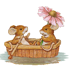 Mouse Boat